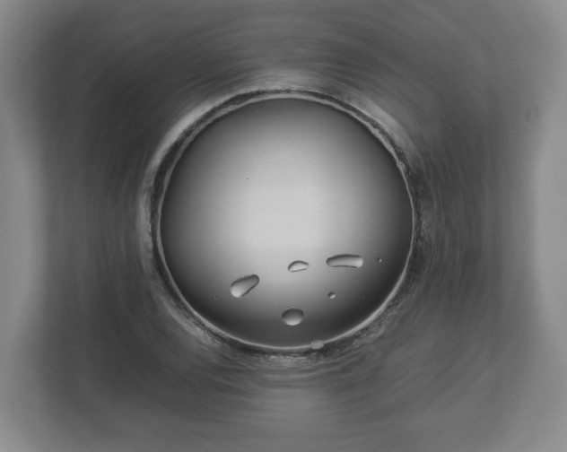 X0000113091120200909041143