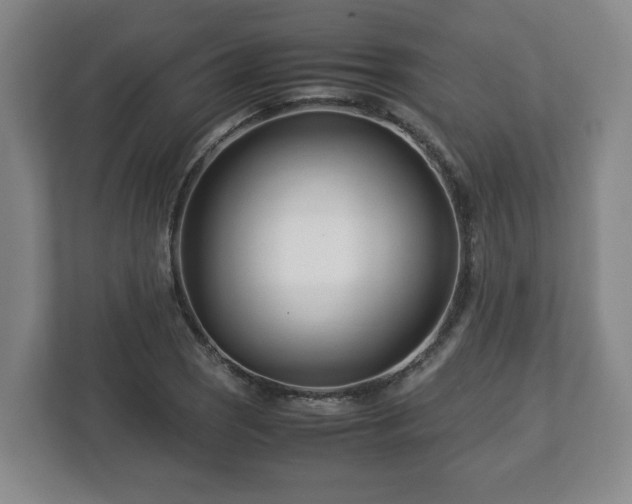 X0000113091121200909041143