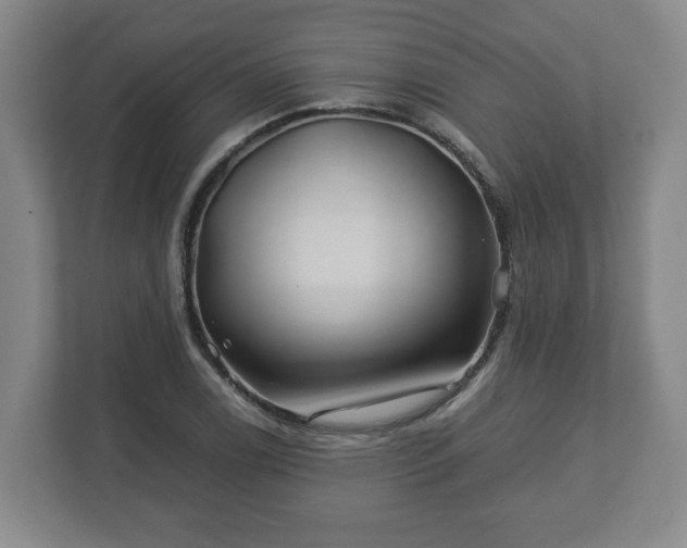 X0000113091122200909041143