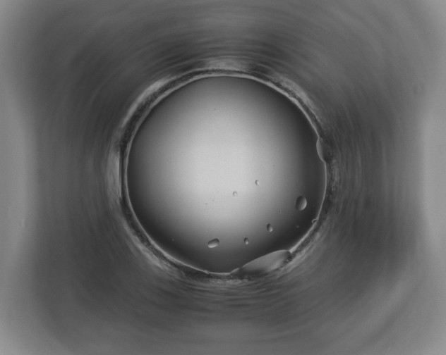 X0000113091123200909041143