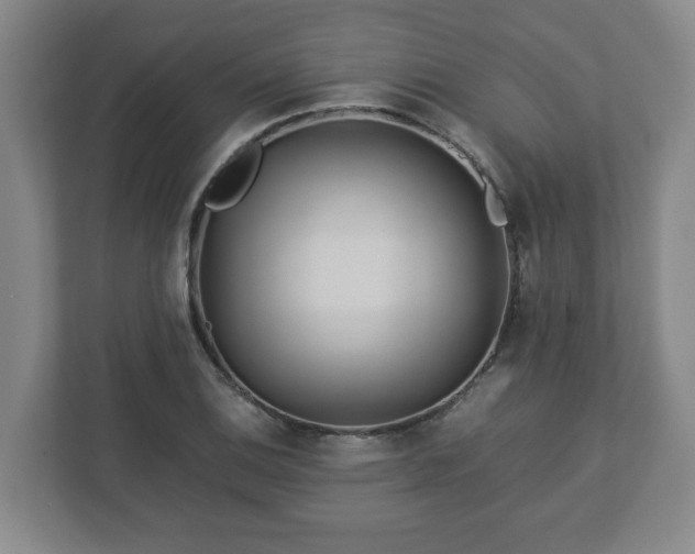 X0000113091124200909041143