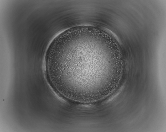 X0000113091125200909041143
