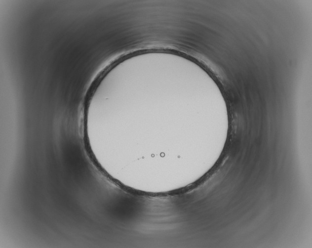 X0000113091126200909041143