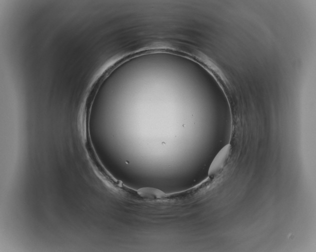 X0000113091127200909041144