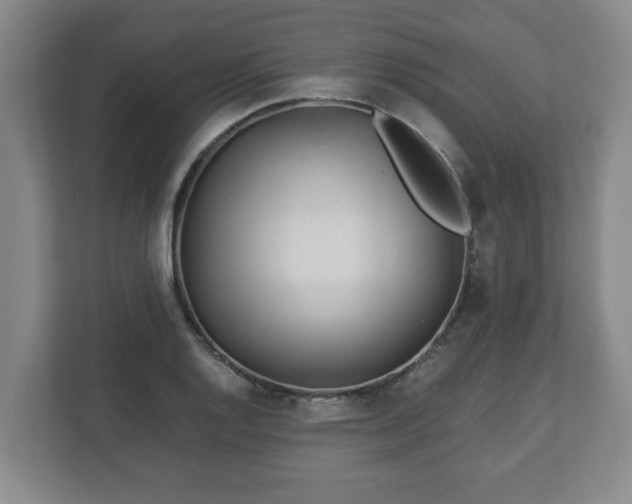 X0000113091128200909041144