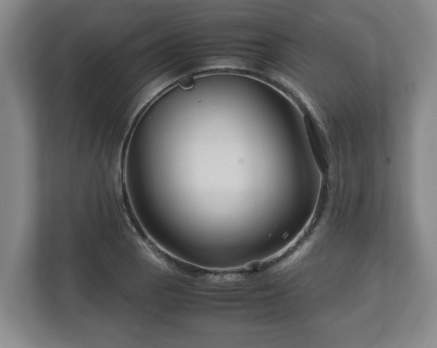 X0000113091129200909041144