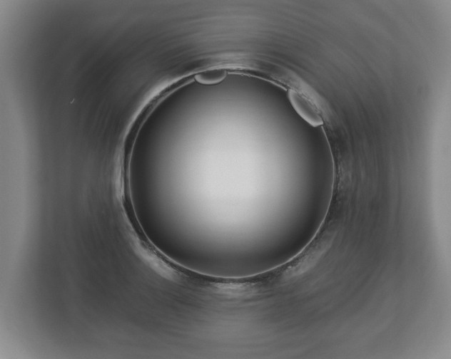 X0000113091132200909041144