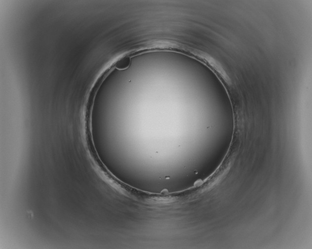 X0000113091134200909041144