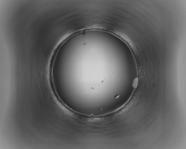 X0000113091135200909041144