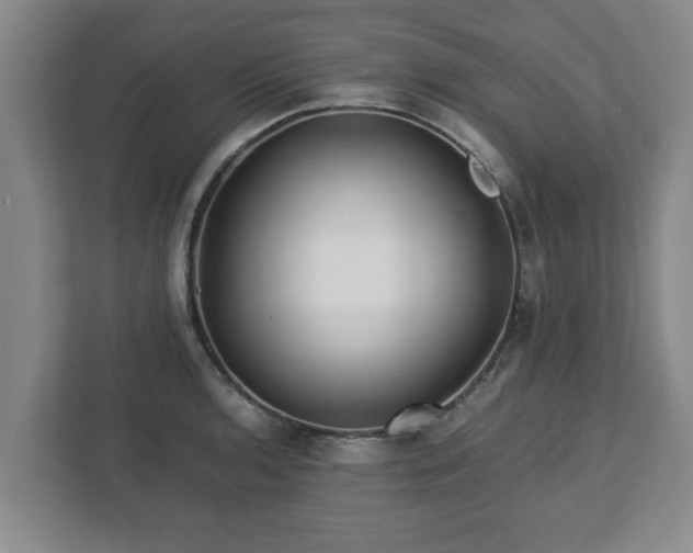 X0000113091136200909041144