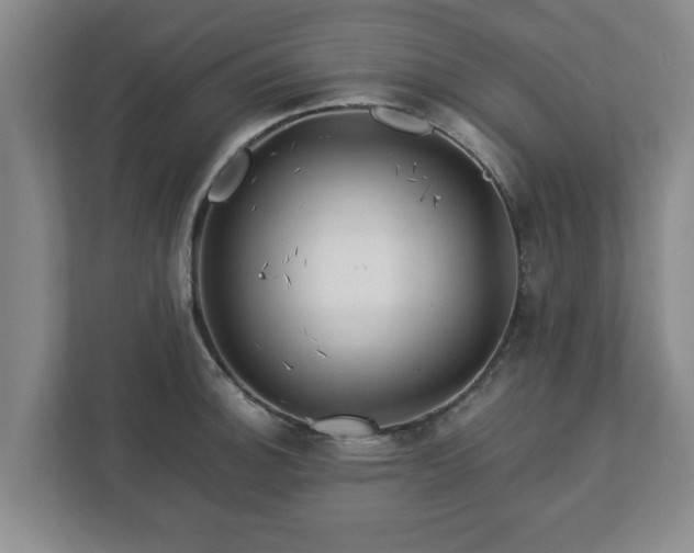 X0000113091140200909041144