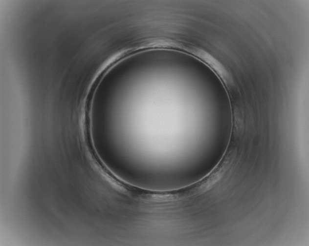 X0000113091142200909041144