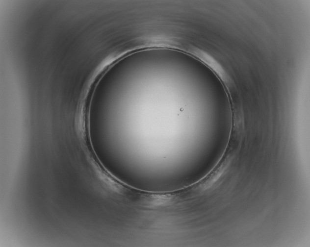 X0000113091144200909041144