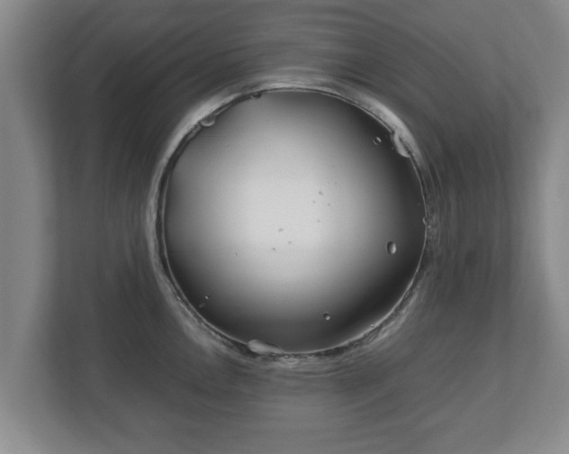 X0000113091146200909041144