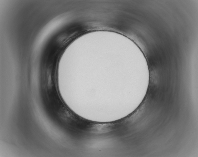 X0000113091150200909041144