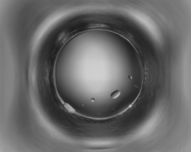 X0000113091151200909041144