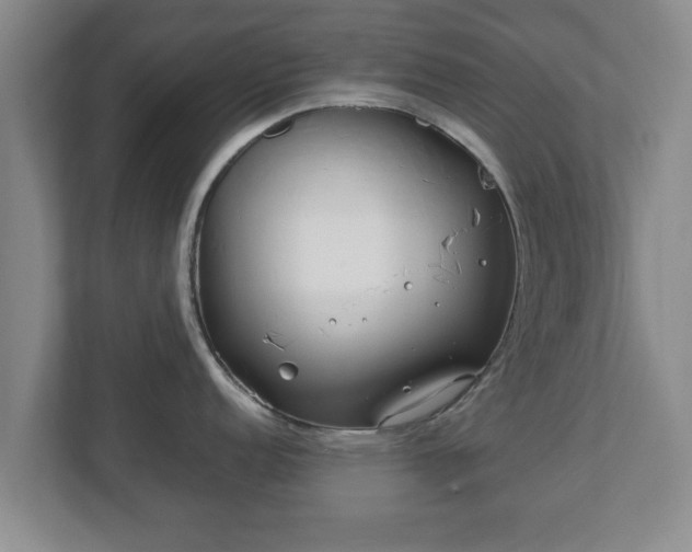 X0000113091152200909041144