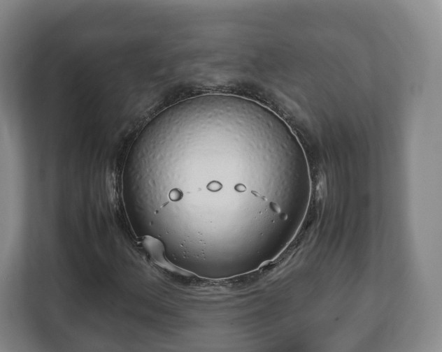 X0000113091156200909041143