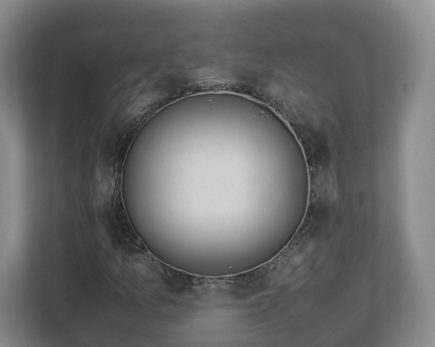 X0000113091157200909041143