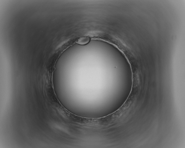 X0000113091158200909041143