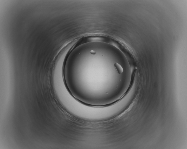 X0000113091162200909041143