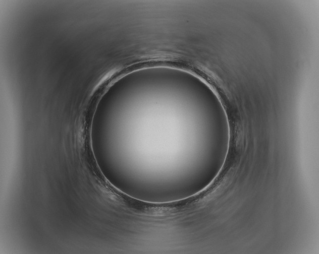 X0000113091163200909041143