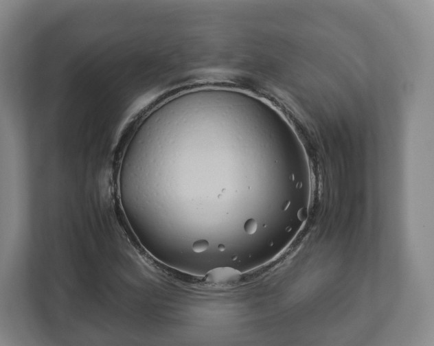 X0000113091164200909041143