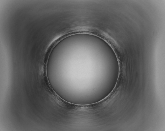 X0000113091166200909041143
