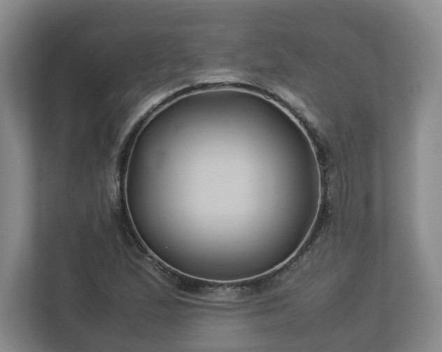 X0000113091167200909041143