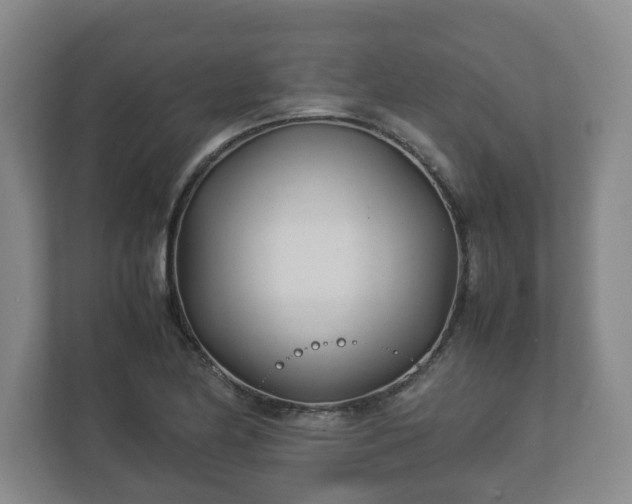 X0000113091174200909041143