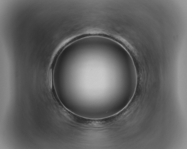X0000113091175200909041143