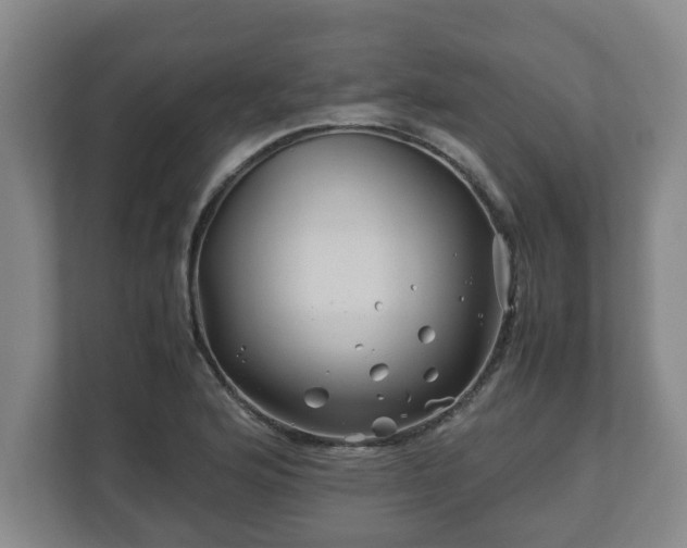 X0000113091176200909041143