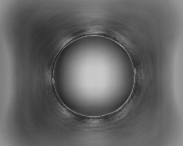 X0000113091177200909041143