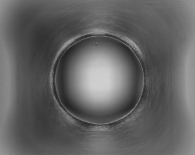 X0000113091183200909041143