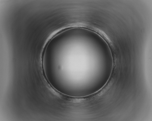 X0000113091184200909041143