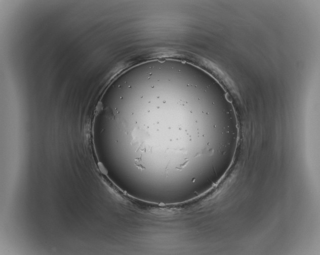 X0000113091185200909041143