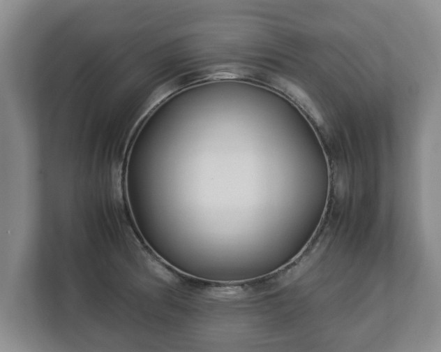 X0000113091186200909041143
