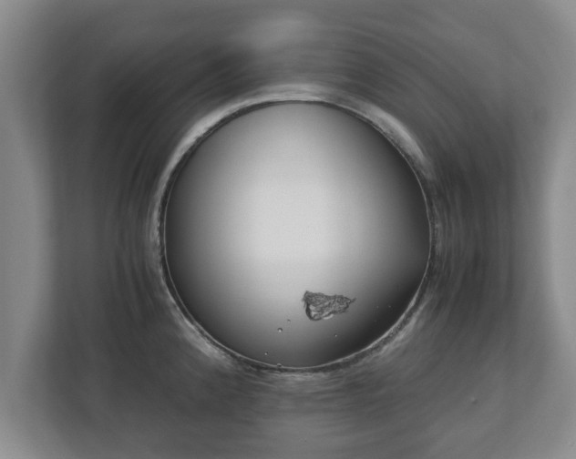 X0000113091192200909041143