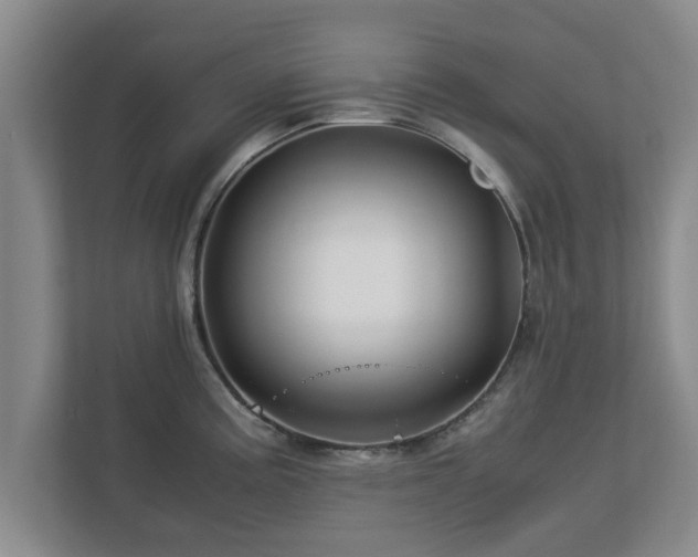 X0000113091195200909041143