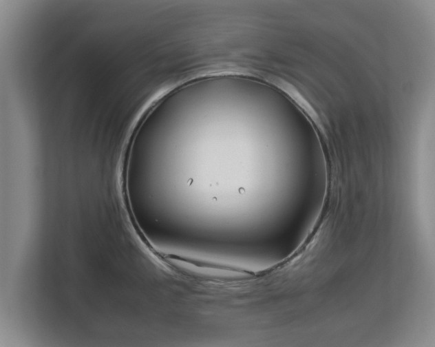 X0000113091197200909041143