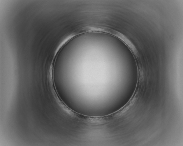 X0000113091198200909041143