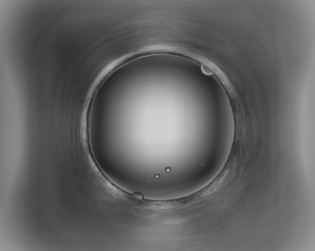 X0000113091199200909041143