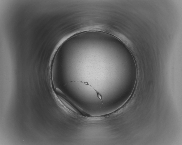 X0000113091200200909041143
