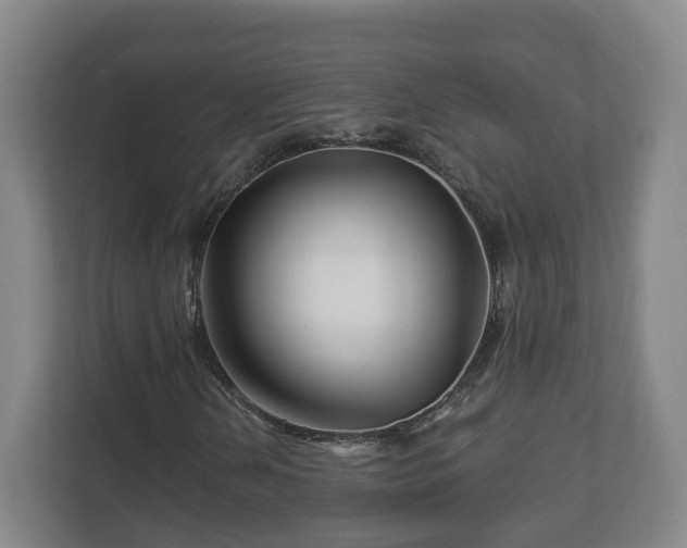 X0000113091202200909041142