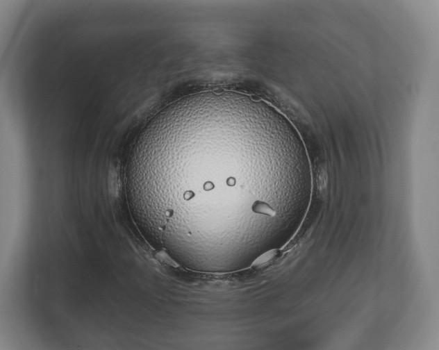 X0000113091204200909041142