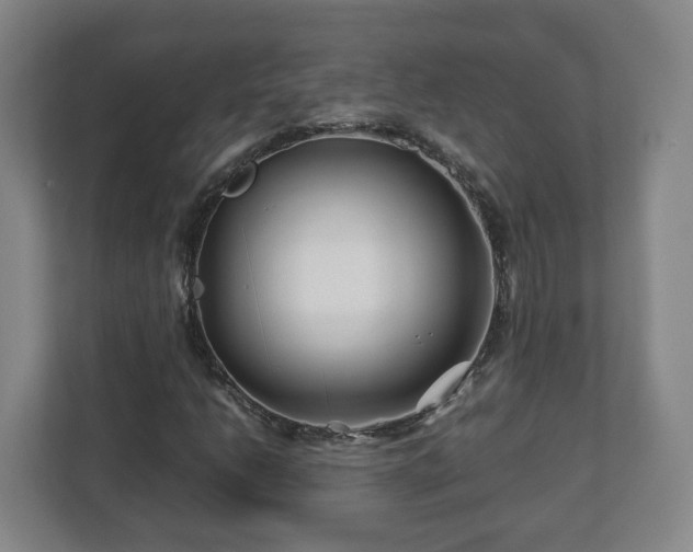 X0000113091206200909041142