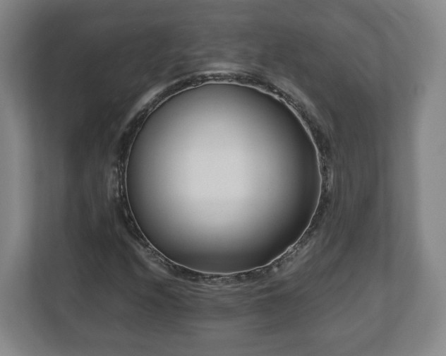X0000113091208200909041142