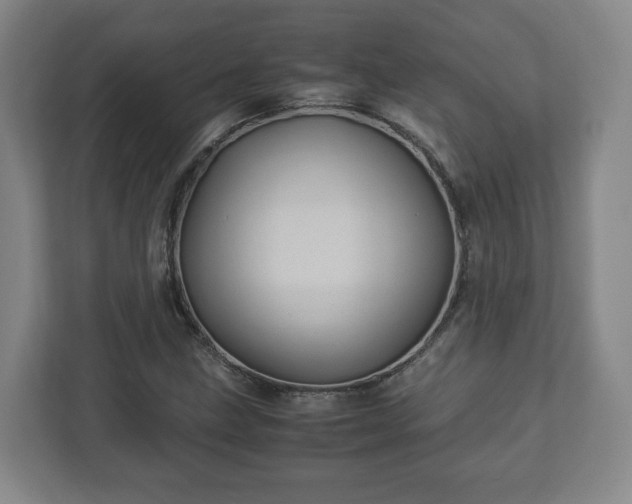 X0000113091211200909041142