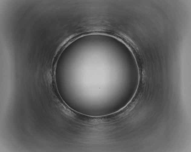 X0000113091212200909041142