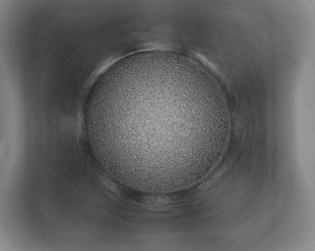 X0000113091215200909041142